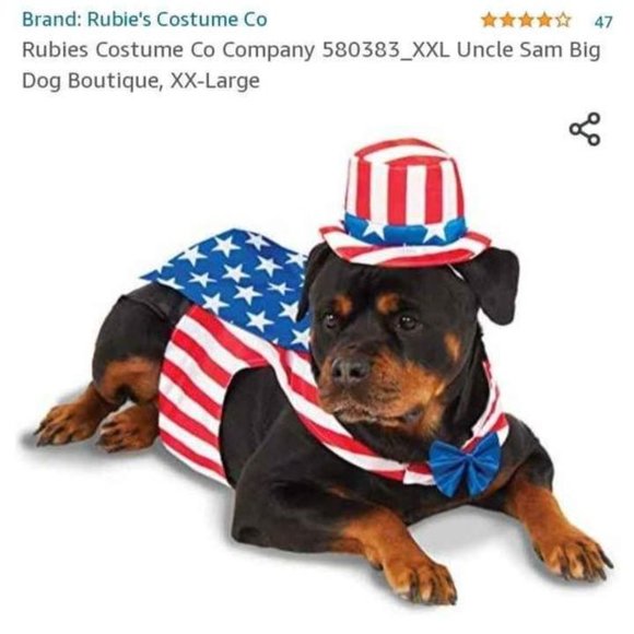 Uncle Sam Dog Costume XXL - Picture 9 of 9
